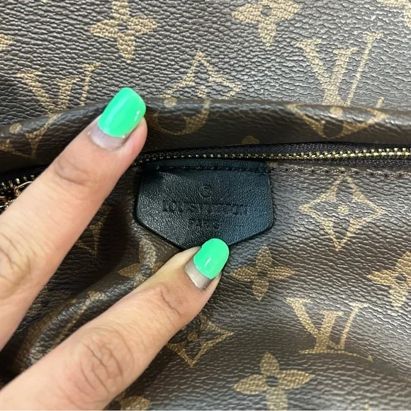 LOUIS VUITTON - Monogram Palm Springs PM - Picture 6 of 14